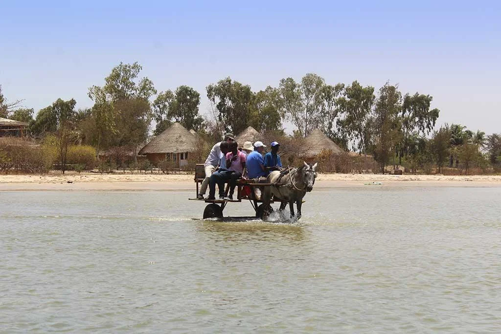 Balade s&eacute;n&eacute;galaise en charette