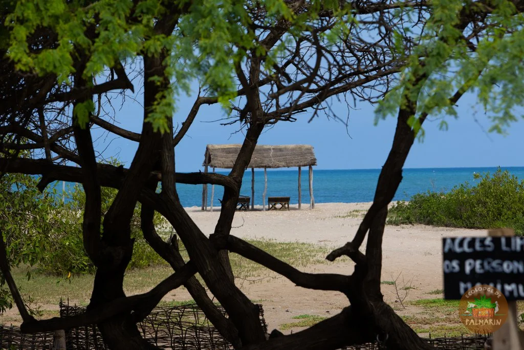 Plage de Palmarin