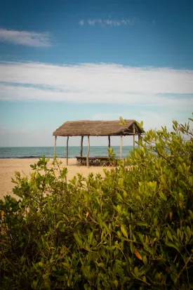 Photo de l'Ecolodge de Palmarin