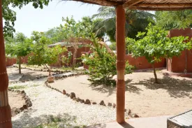 Photo de l'Ecolodge de Palmarin