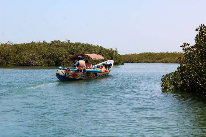 Photo 2 du Propositions de séjours combinés par l'Ecolodge de Palmarin - Séjour nature et excursions dans le d